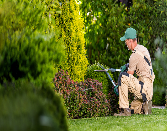 Gardener Service